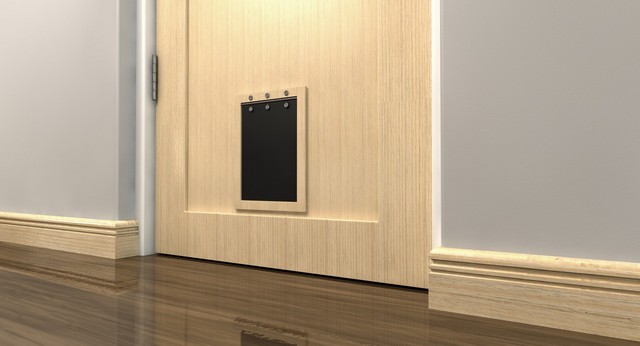 Cat Flap Installation Holborn, Strand, Covent Garden, WC2