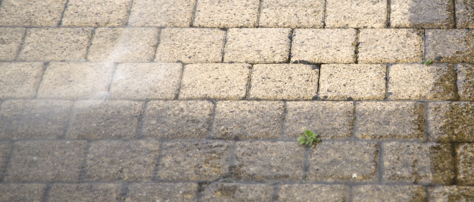 flagging and patios WC2