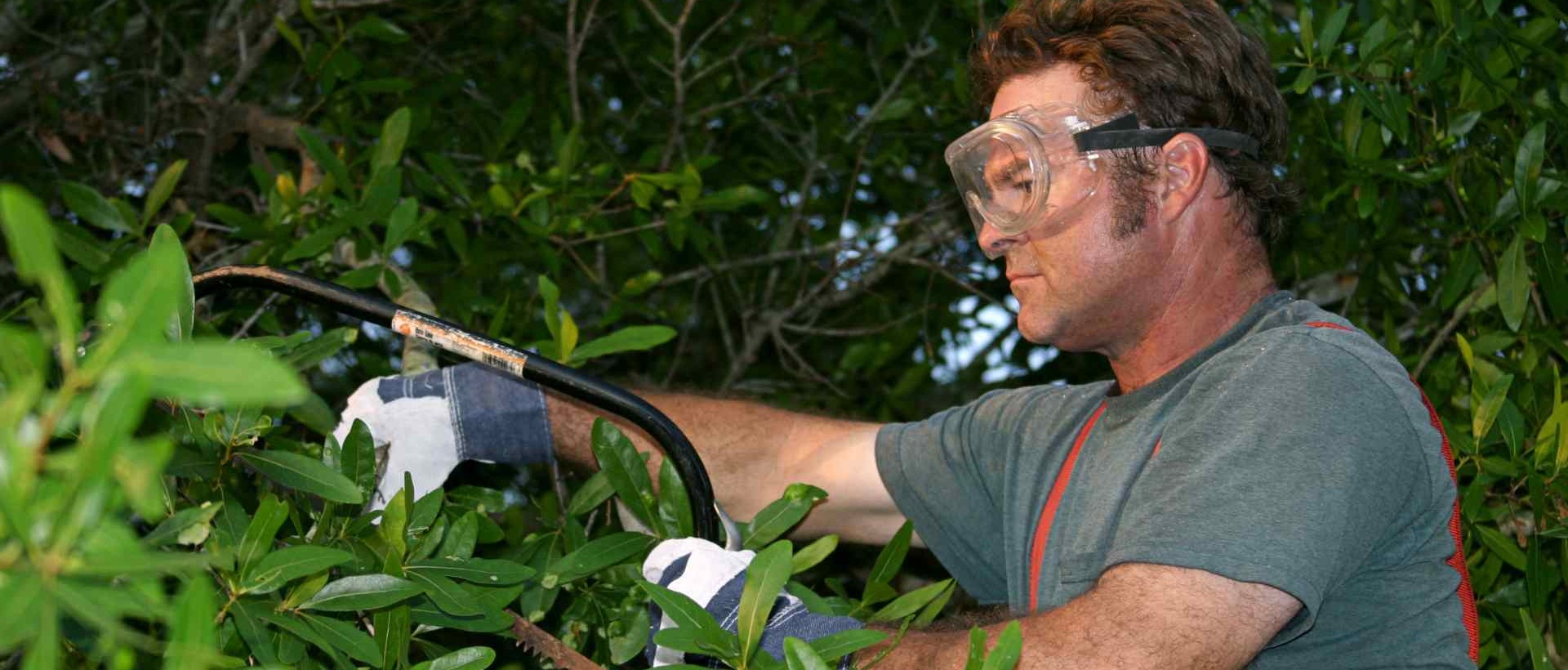 garden clearance WC2